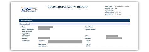 crif commercial lite report|Company report .